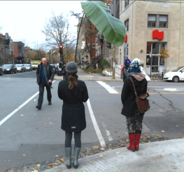 la plante en ville VII, nov. 2013