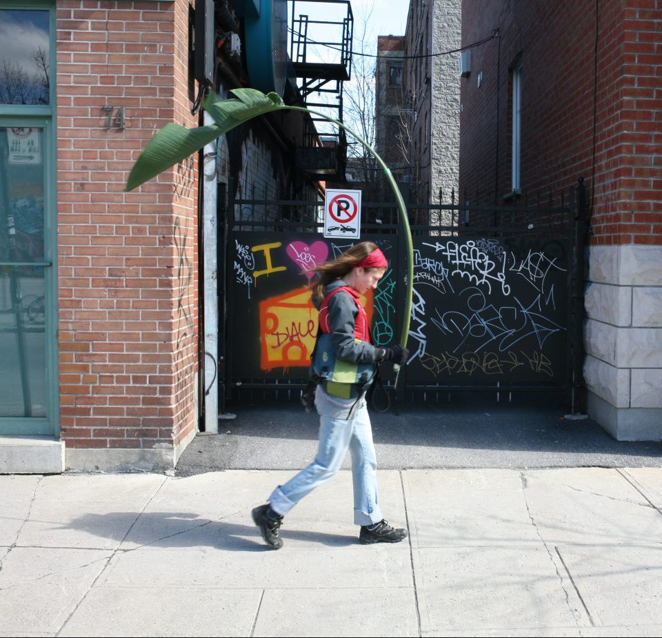 la plante en ville I