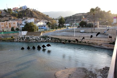 les lettres volent au vent