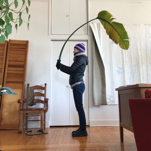 Cette image a un attribut alt vide ; le nom du fichier est img_3158-edited.jpg